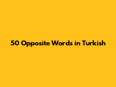 50 Opposite Words in Turkish