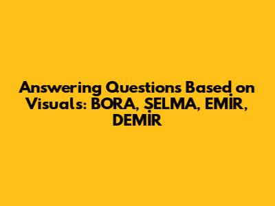 Answering Questions Based on Visuals: BORA, SELMA, EMİR, DEMİR