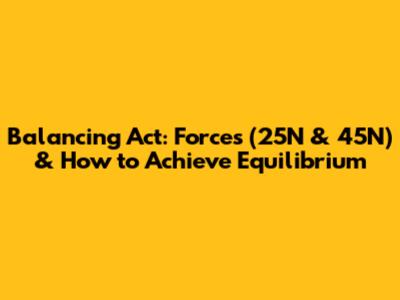 Balancing Act: Forces (25N & 45N) & How to Achieve Equilibrium