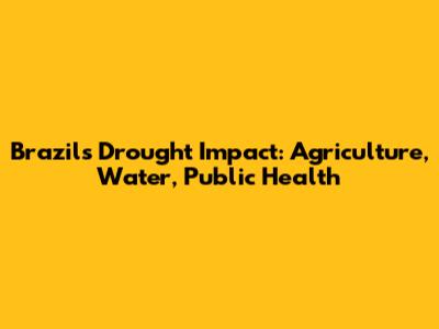 Brazil's Drought Impact: Agriculture, Water, Public Health