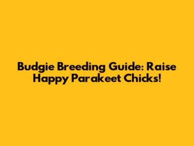 Budgie Breeding Guide: Raise Happy Parakeet Chicks!