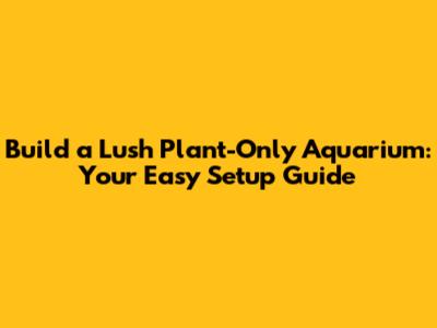 Build a Lush Plant-Only Aquarium: Your Easy Setup Guide