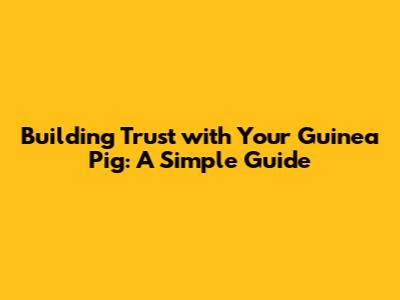 Building Trust with Your Guinea Pig: A Simple Guide