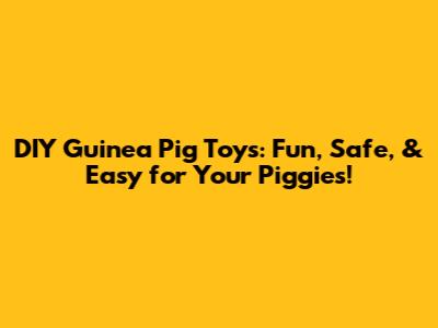 DIY Guinea Pig Toys: Fun, Safe, & Easy for Your Piggies!