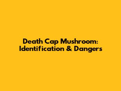 Death Cap Mushroom: Identification & Dangers