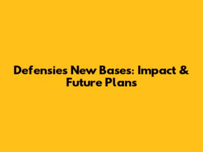 Defensie's New Bases: Impact & Future Plans