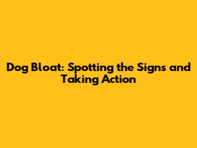 Dog Bloat: Spotting the Signs and Taking Action