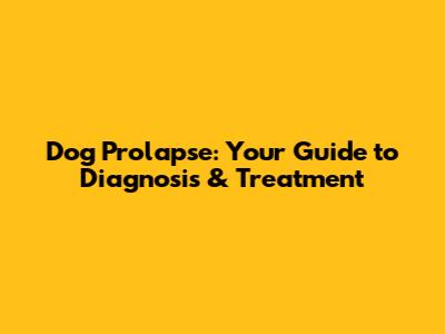 Dog Prolapse: Your Guide to Diagnosis & Treatment