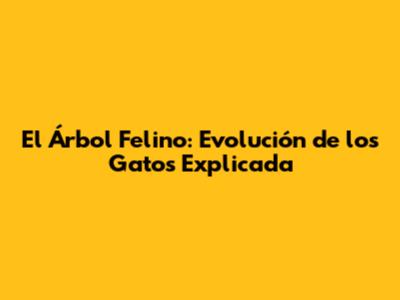 El Árbol Felino: Evolución de los Gatos Explicada