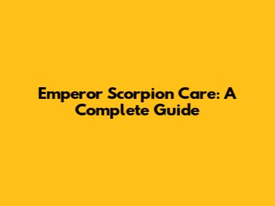 Emperor Scorpion Care: A Complete Guide