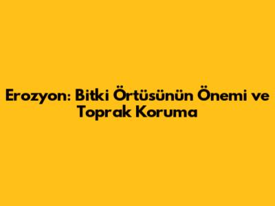 Erozyon: Bitki Örtüsünün Önemi ve Toprak Koruma