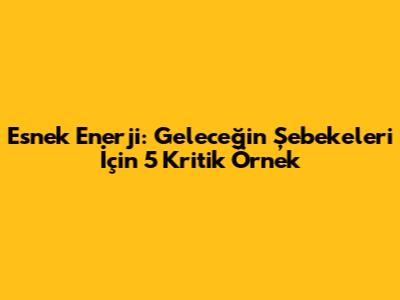 Esnek Enerji: Geleceğin Şebekeleri İçin 5 Kritik Örnek