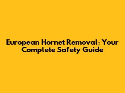 European Hornet Removal: Your Complete Safety Guide