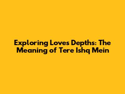 Exploring Love's Depths: The Meaning of Tere Ishq Mein