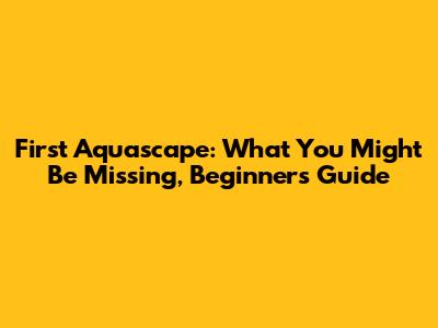 First Aquascape: What You Might Be Missing, Beginners' Guide