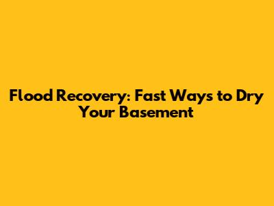 Flood Recovery: Fast Ways to Dry Your Basement