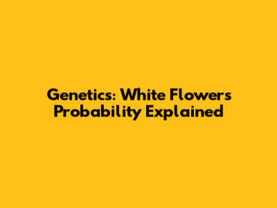 Genetics: White Flowers Probability Explained
