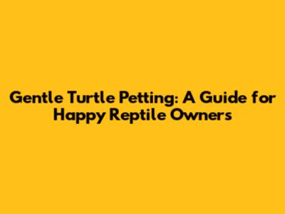 Gentle Turtle Petting: A Guide for Happy Reptile Owners