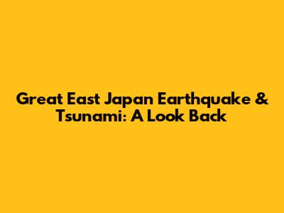 Great East Japan Earthquake & Tsunami: A Look Back