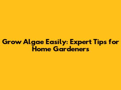 Grow Algae Easily: Expert Tips for Home Gardeners