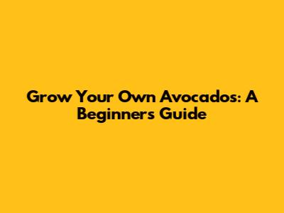 Grow Your Own Avocados: A Beginner's Guide