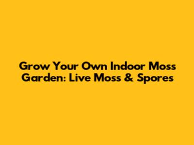 Grow Your Own Indoor Moss Garden: Live Moss & Spores