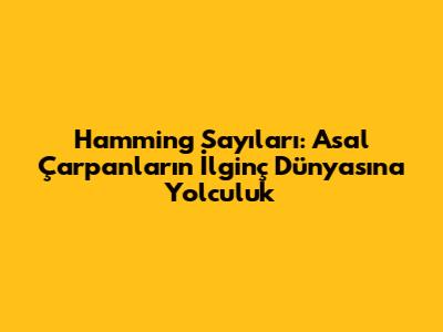 Hamming Sayıları: Asal Çarpanların İlginç Dünyasına Yolculuk