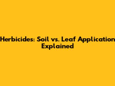 Herbicides: Soil vs. Leaf Application Explained