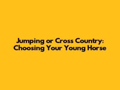 Jumping or Cross Country: Choosing Your Young Horse