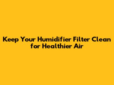 Keep Your Humidifier Filter Clean for Healthier Air