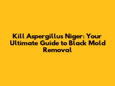 Kill Aspergillus Niger: Your Ultimate Guide to Black Mold Removal