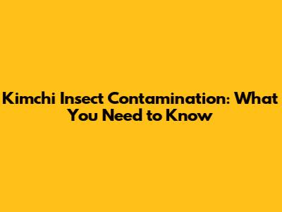 Kimchi Insect Contamination: What You Need to Know