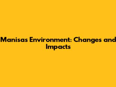 Manisa's Environment: Changes and Impacts