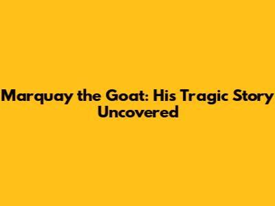 Marquay the Goat: His Tragic Story Uncovered