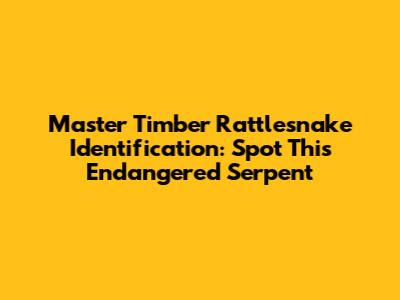 Master Timber Rattlesnake Identification: Spot This Endangered Serpent