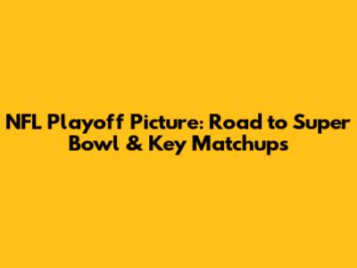 NFL Playoff Picture: Road to Super Bowl & Key Matchups