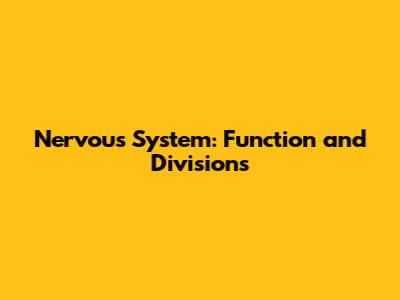 Nervous System: Function and Divisions