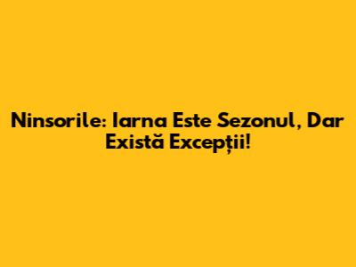 Ninsorile: Iarna Este Sezonul, Dar Există Excepții!