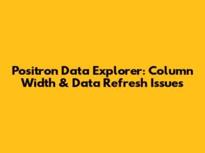 Positron Data Explorer: Column Width & Data Refresh Issues