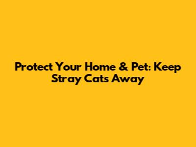 Protect Your Home & Pet: Keep Stray Cats Away