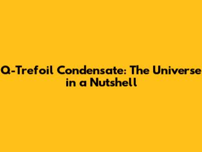 Q-Trefoil Condensate: The Universe in a Nutshell