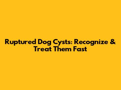 Ruptured Dog Cysts: Recognize & Treat Them Fast