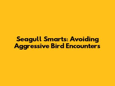 Seagull Smarts: Avoiding Aggressive Bird Encounters