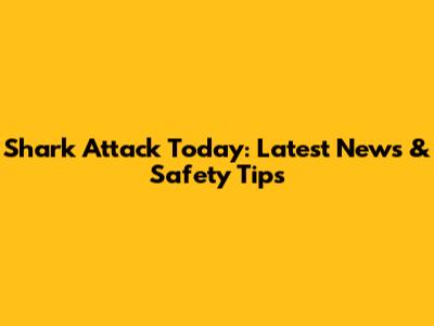 Shark Attack Today: Latest News & Safety Tips