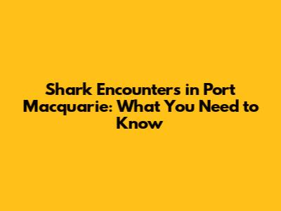 Shark Encounters in Port Macquarie: What You Need to Know