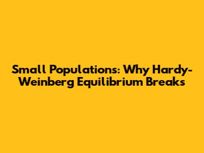 Small Populations: Why Hardy-Weinberg Equilibrium Breaks