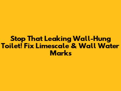 Stop That Leaking Wall-Hung Toilet! Fix Limescale & Wall Water Marks