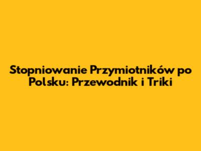Stopniowanie Przymiotników po Polsku: Przewodnik i Triki