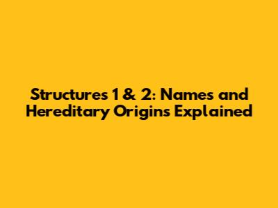 Structures 1 & 2: Names and Hereditary Origins Explained