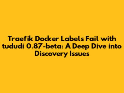Traefik Docker Labels Fail with tududi 0.87-beta: A Deep Dive into Discovery Issues
